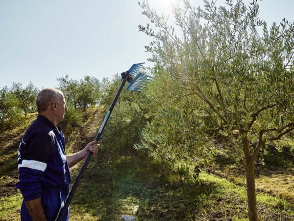 Abbacchiatore pneumatico Tuono Evo Campagnola